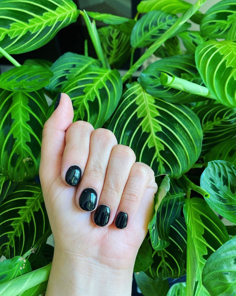 Revel Nail Dip Powder - Black - Barbara 0.5oz
